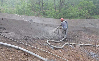 ԤӦ��ê��ʩ��