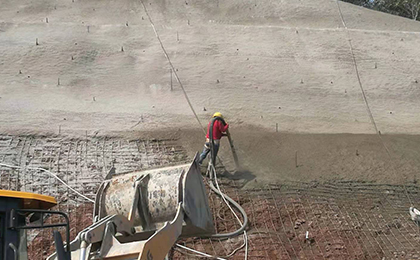 ���ӹ����罬