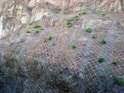 ɽ�������