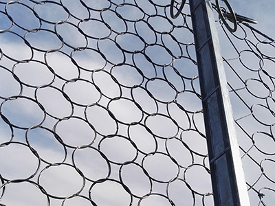 �������η�����