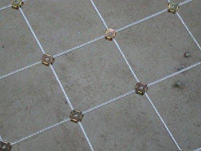 ��˿����