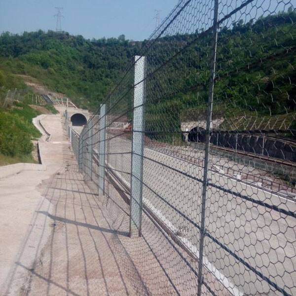 ���Է�����